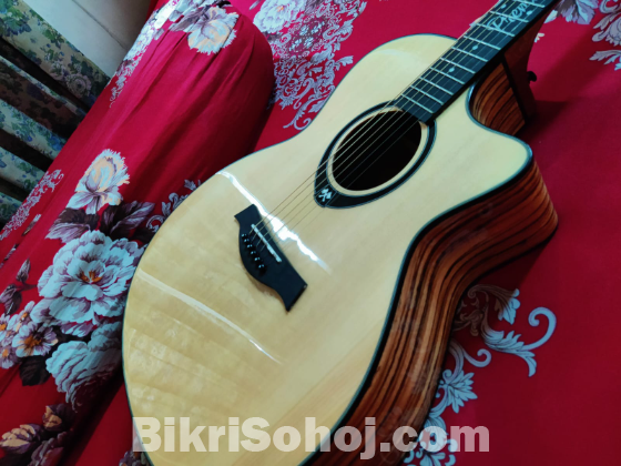 Acoustic Guitar
